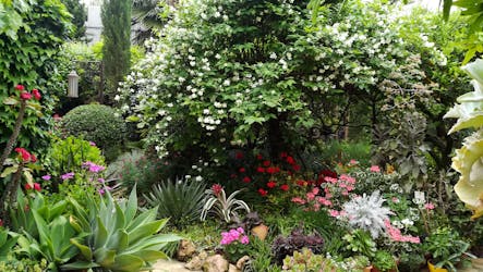 La Almunya del Sur Botanical Garden